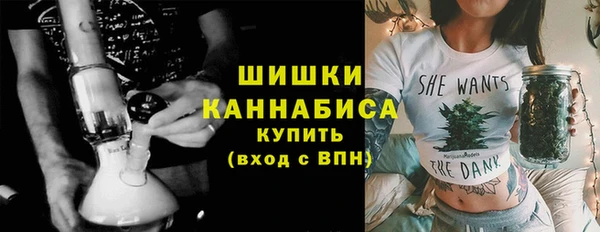 прущие грибы Зеленокумск