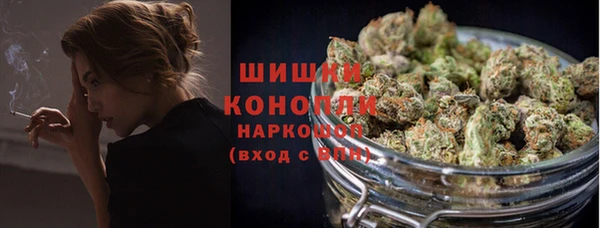 прущие грибы Зеленокумск