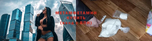 прущие грибы Зеленокумск