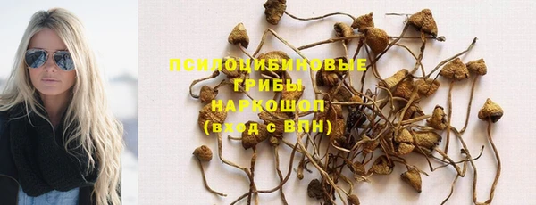 стафф Зерноград