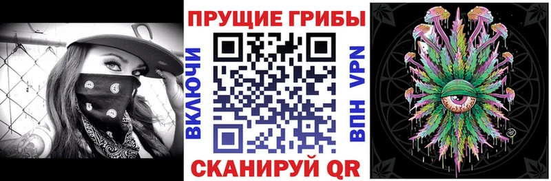 Галлюциногенные грибы Psilocybe  Купить где  Инта 